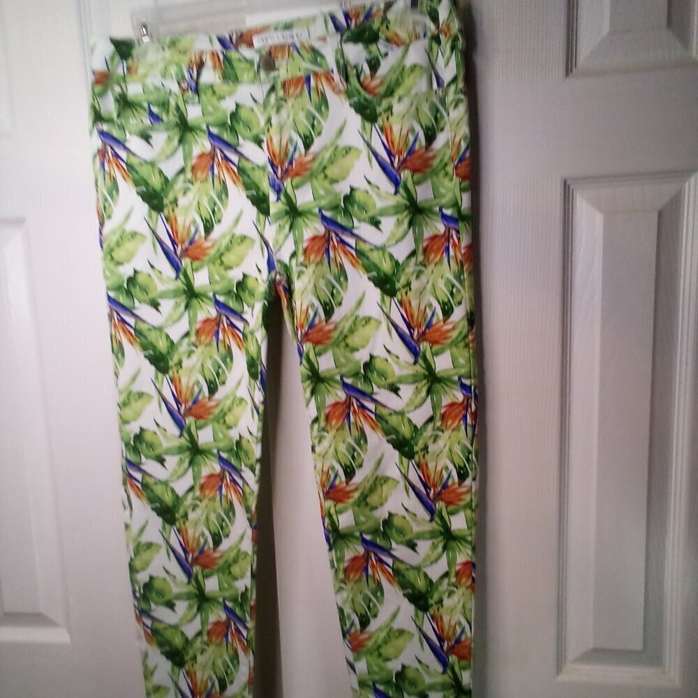 Truth & Theory Jeans Women 12 Skinny Tropical Print Boho Colorful